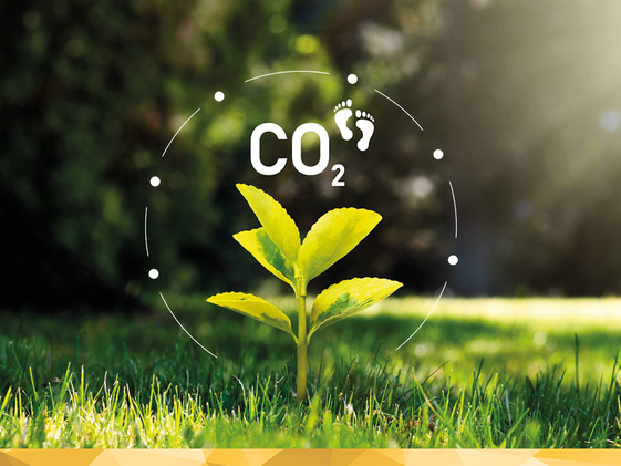 Co2 Fußabdruck