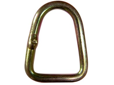 513109_D_Ring__H2504