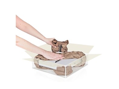 239107_Junior_in_trans_Box
